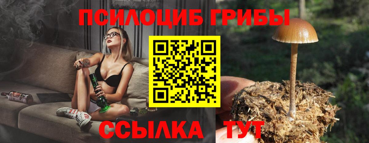 Псилоцибиновые грибы GOLDEN TEACHER  Вход с VPN  Галлюциногенные грибы ЛСД  Ачинск 
